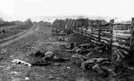 bodies on battlefield antietam