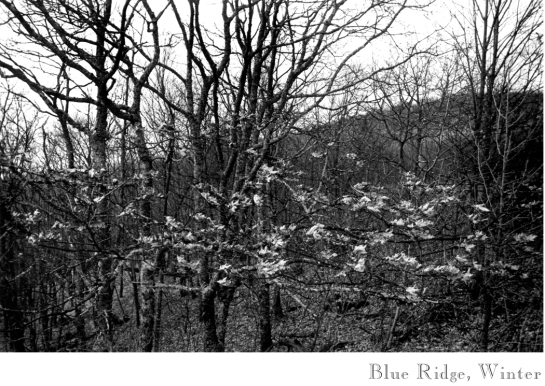 23 Blue Ridge winter
